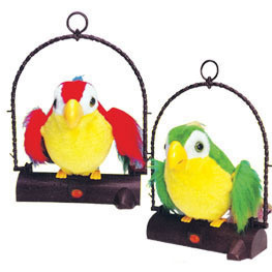 Talk Back Parrot