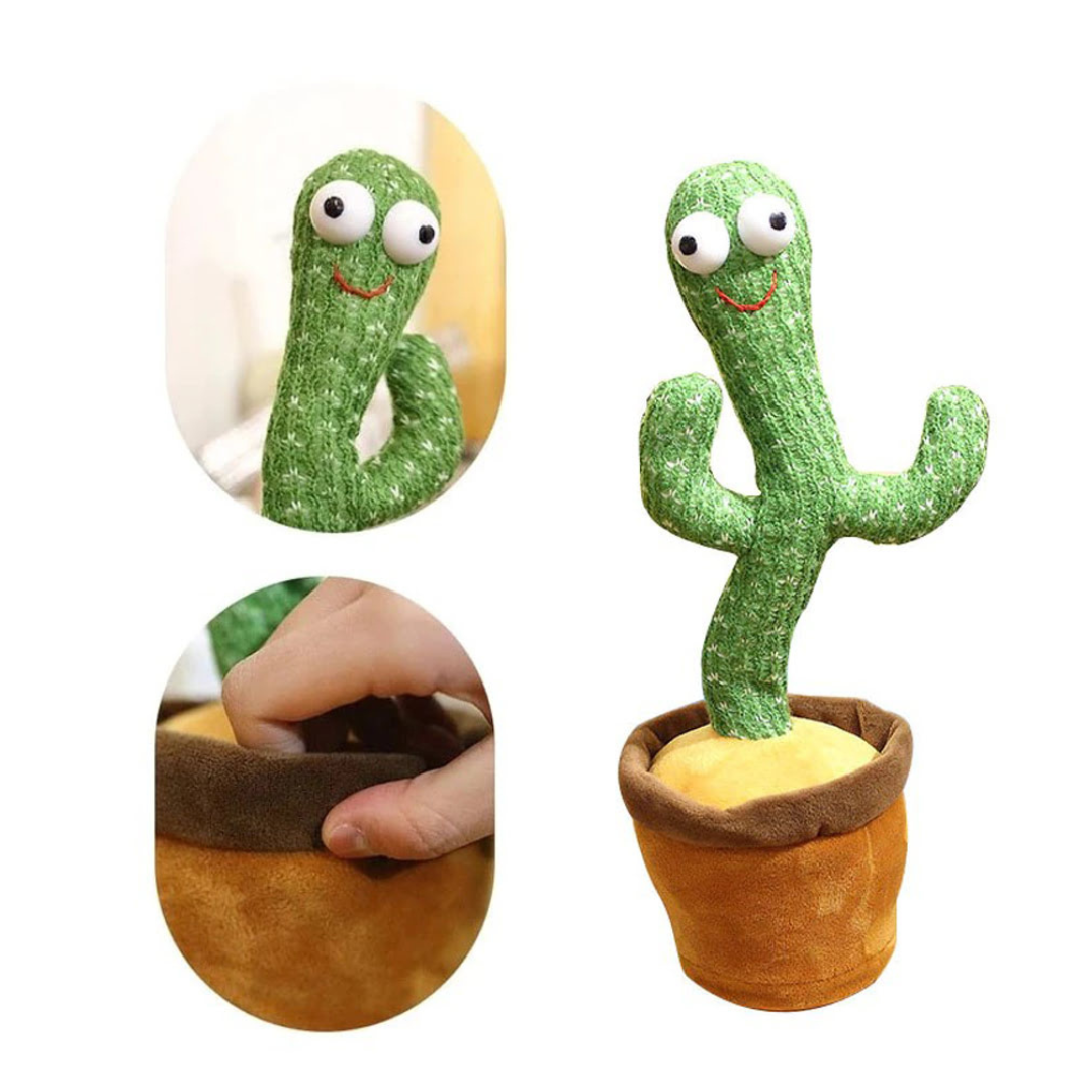 Talking Cactus
