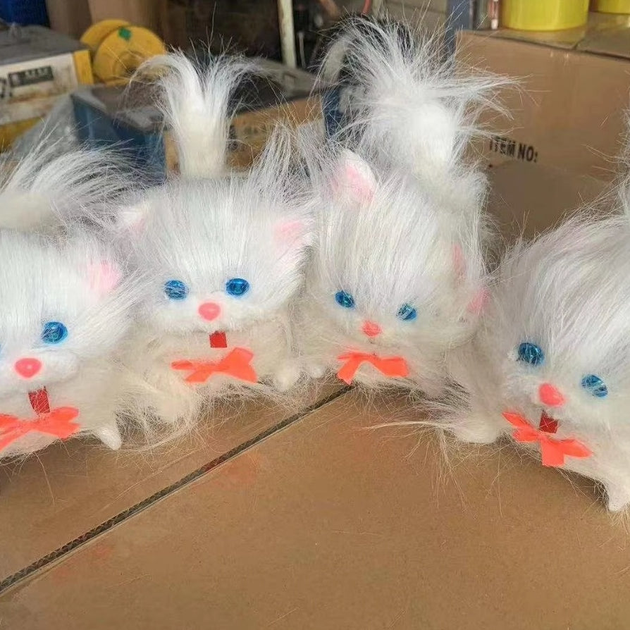 Cute Parsian Cat